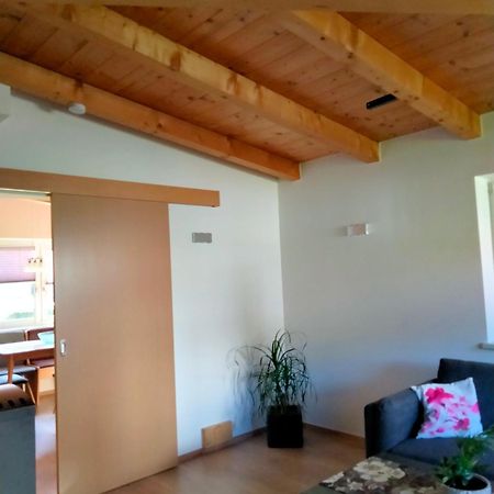 Ferienwohnung Trixi Hollersbach im Pinzgau Eksteriør billede