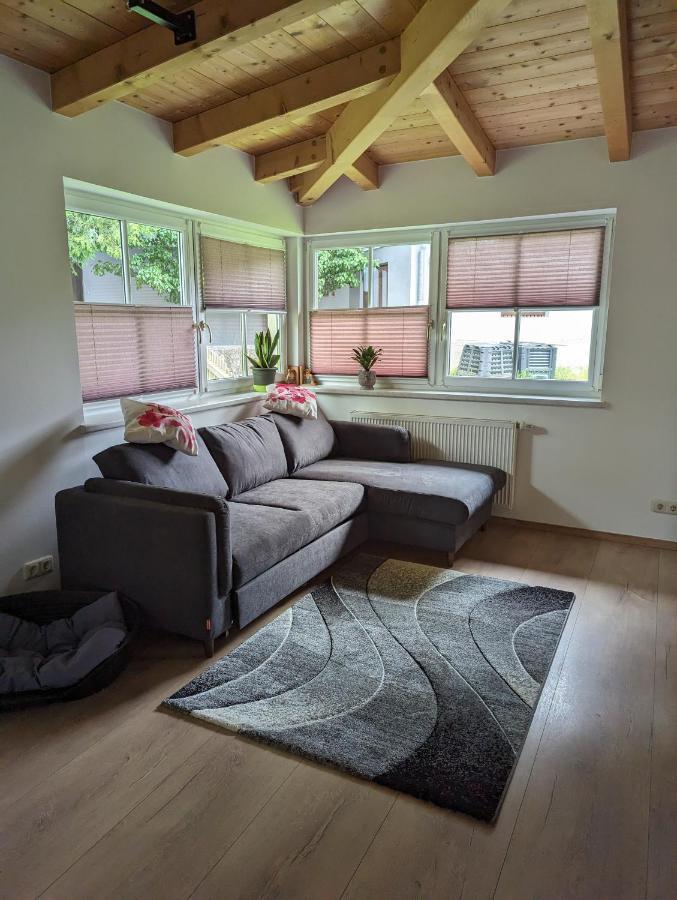 Ferienwohnung Trixi Hollersbach im Pinzgau Eksteriør billede